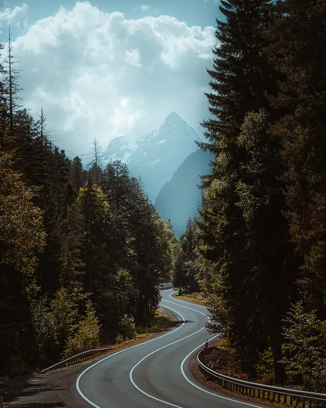 唯美的树林道路