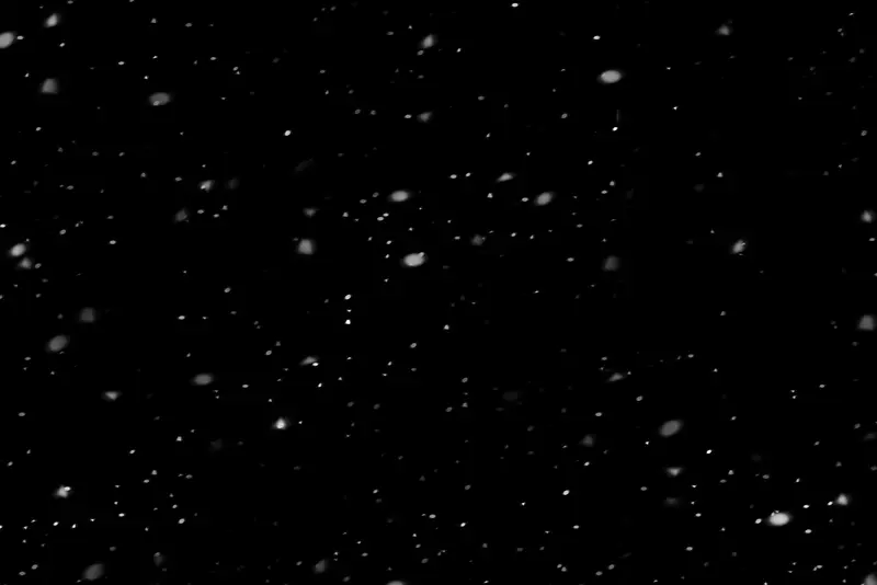黑色的背景雪景