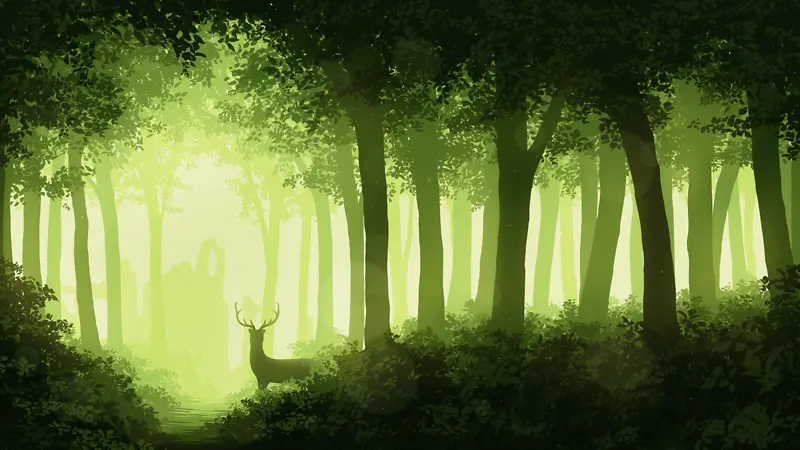 神秘的绿色森林