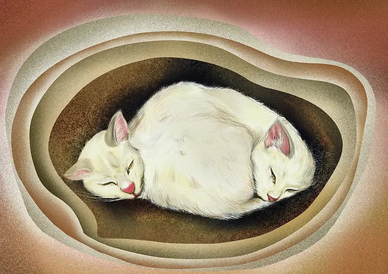 猫咪插画 《忆梦》