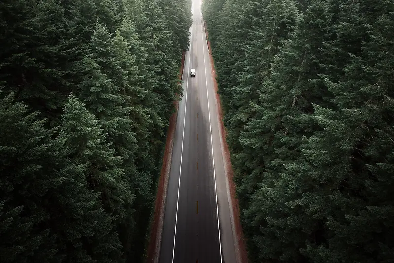 航拍高速公路树林