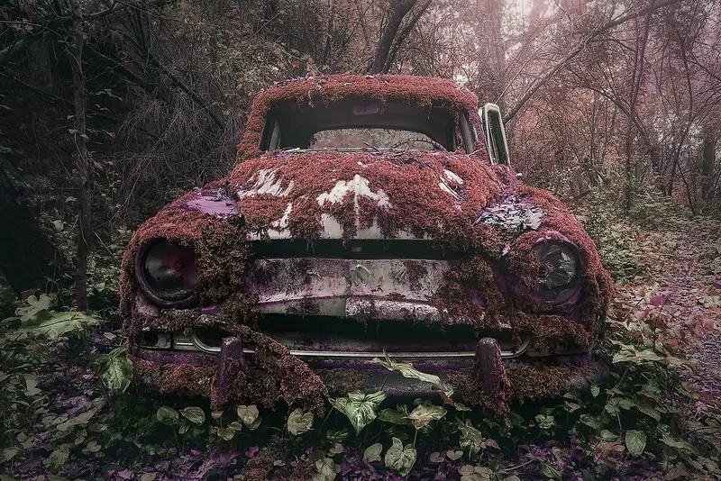 车与花的梦幻背景