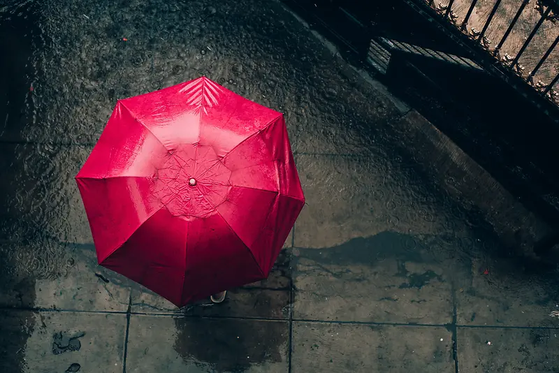 秋雨纷飞 梧桐细雨