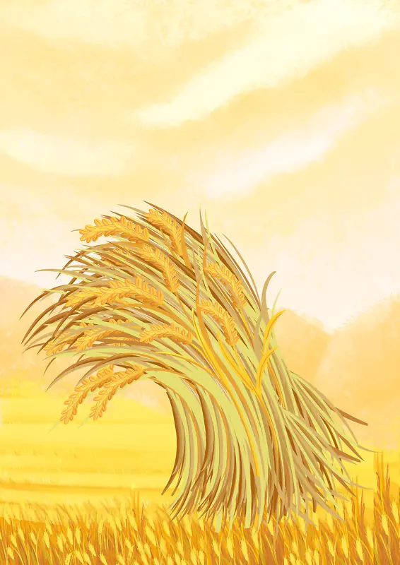 手绘写实秋季小麦