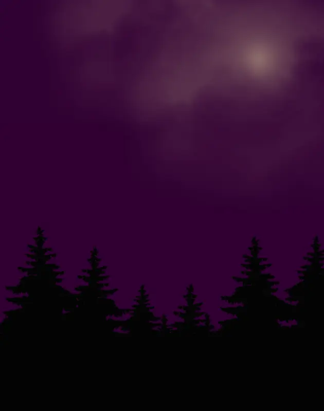 夜晚森林月色夜空