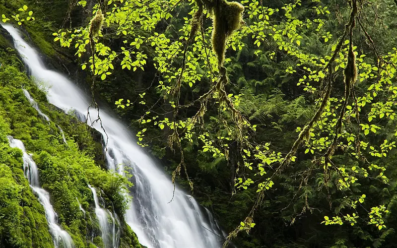 山间流下来的溪水