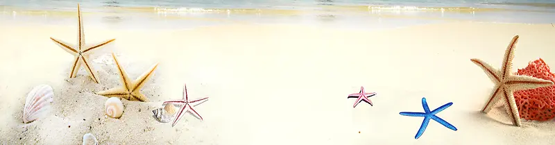海星 贝壳 沙滩