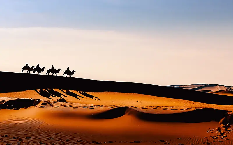 沙漠，沙子，人类，大自然