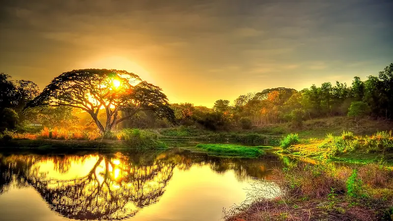 草地,背景,png,素材