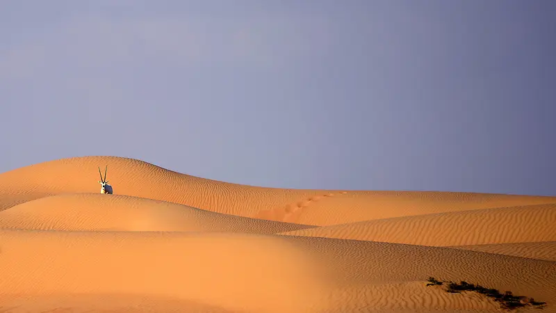 沙漠，沙子，天空，自然