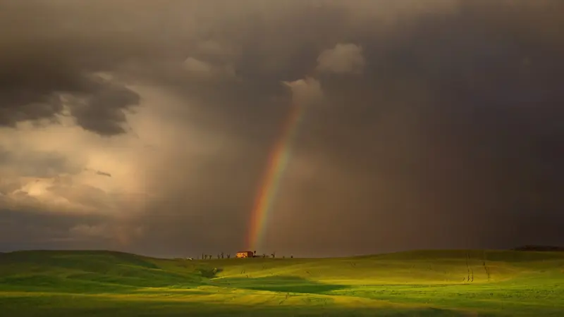 彩虹，雨后，阴天，绿地