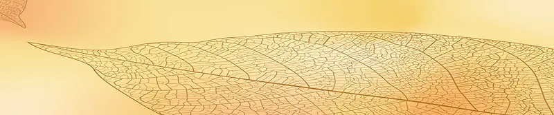 黄色叶子镂空背景图