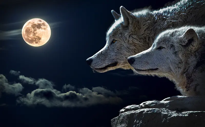 月夜银狼场景图