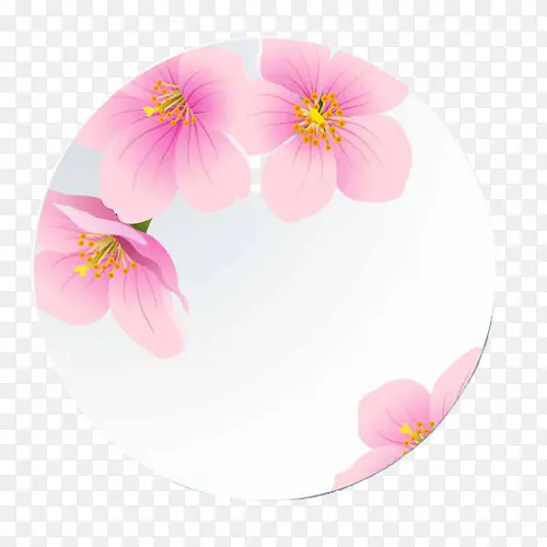 花边圆形盘子