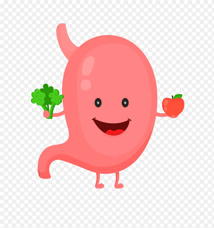 肠胃 肠胃健康 胃