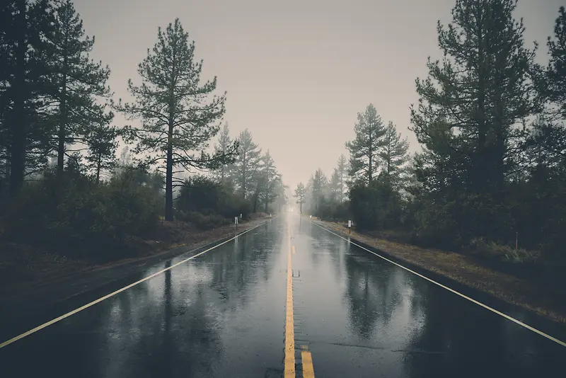 雨后的森林公路