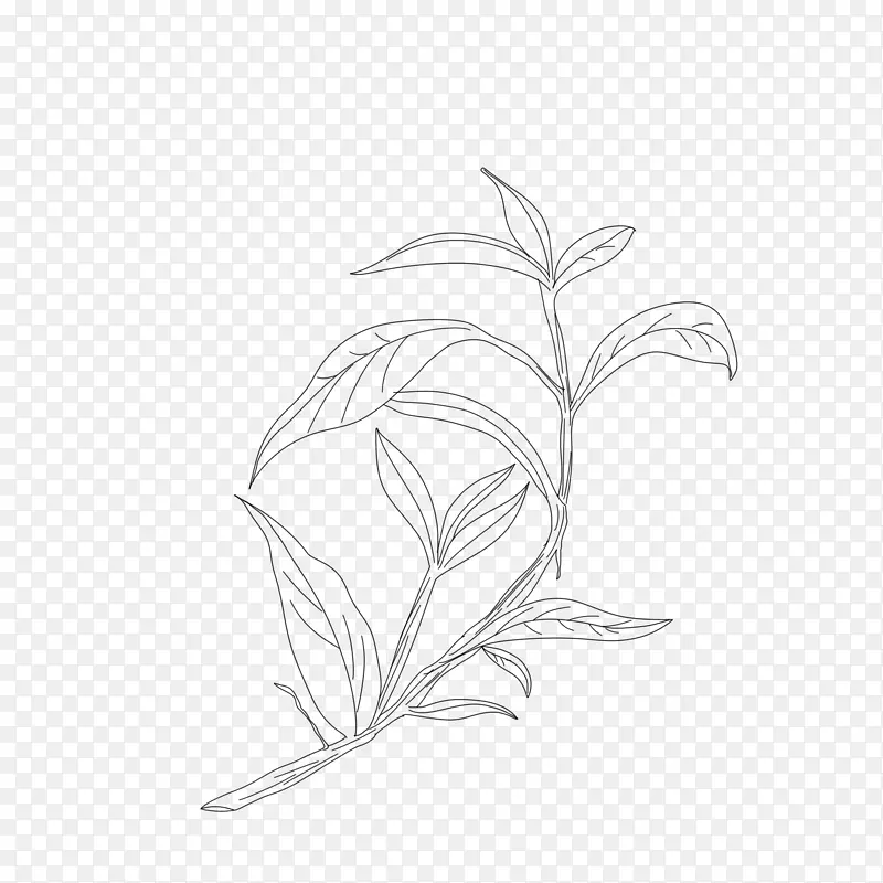 线描中药草药