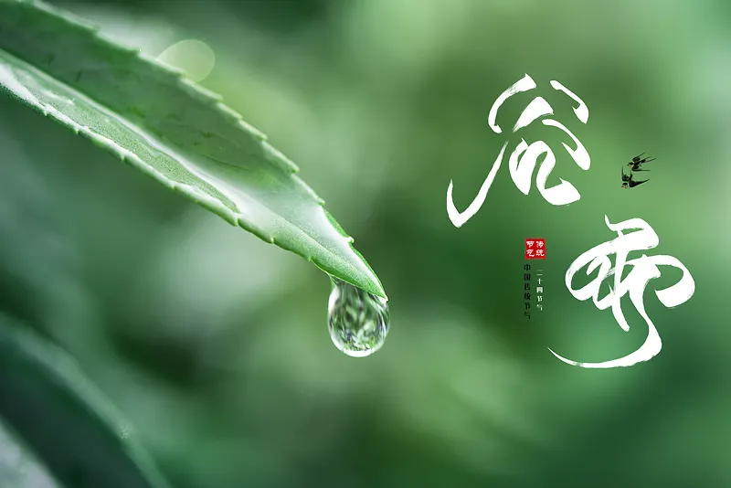 绿色简约水滴谷雨背景