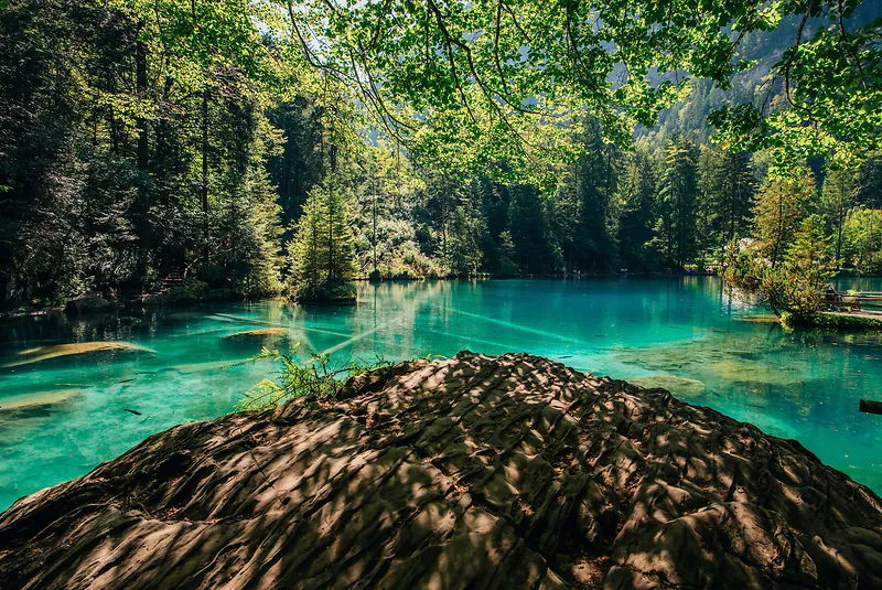 夏天美丽山湖湖面树木