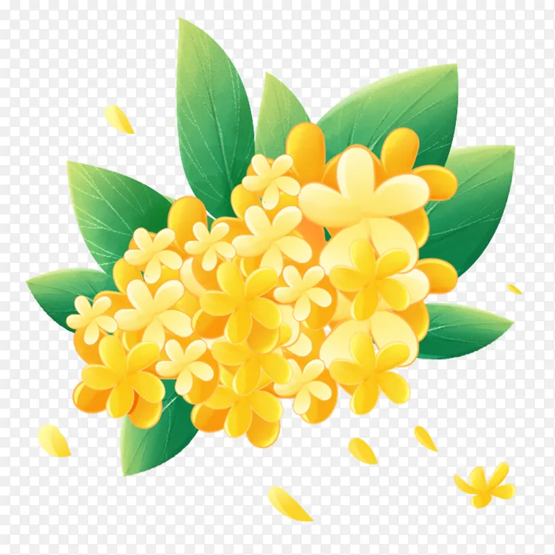 中秋节手绘桂花枝叶元素