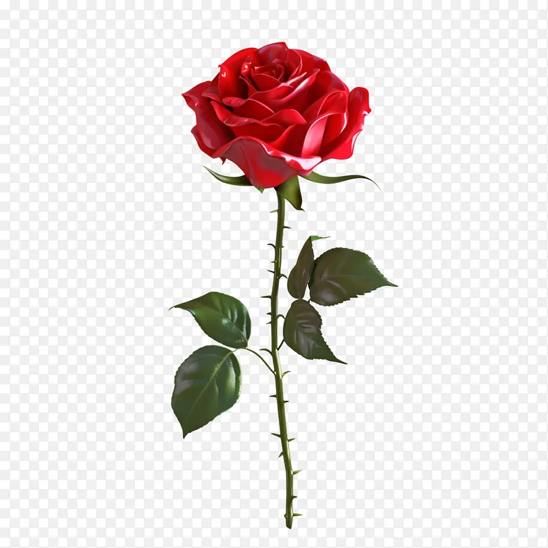 玫瑰花3D免扣元素