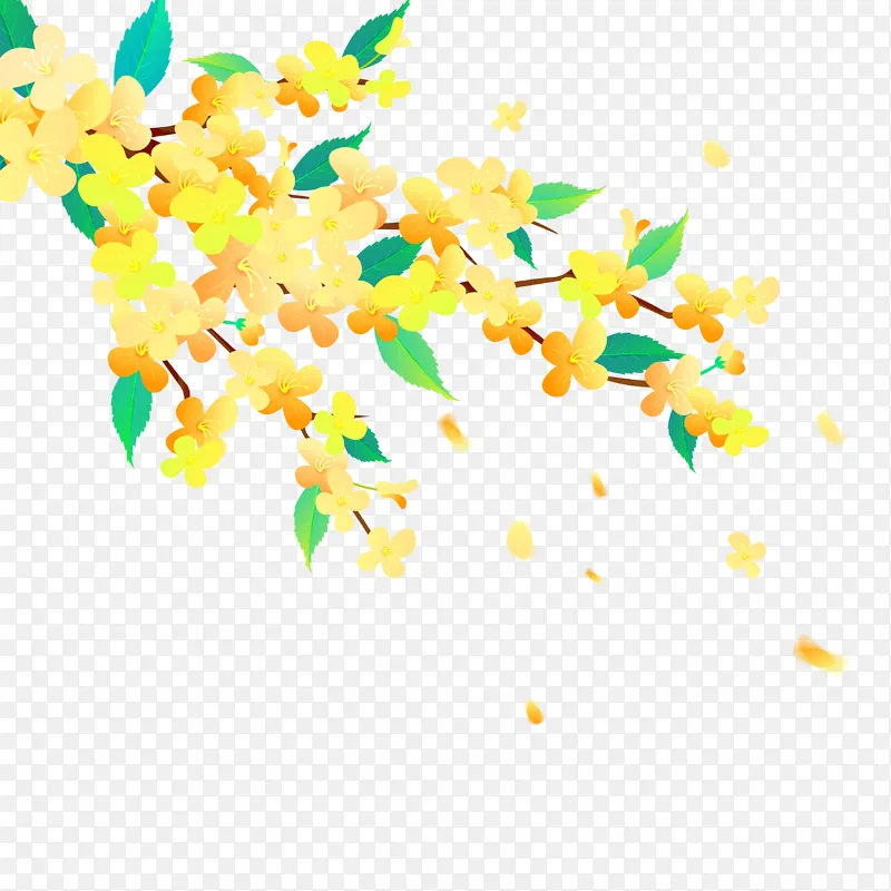 中国风国潮桂花树枝装饰手绘插画矢量元素