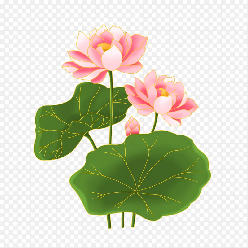 立夏国潮金线噪点风夏日荷花