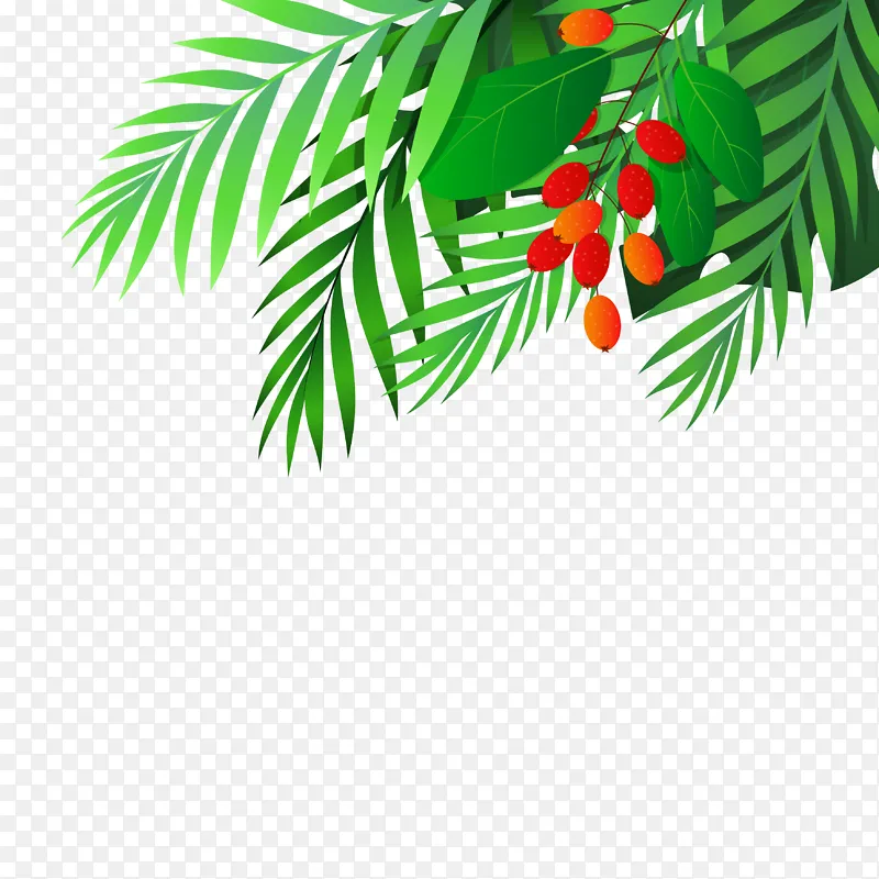 夏天植物绿叶果实矢量边框