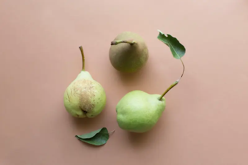 成熟青啤梨