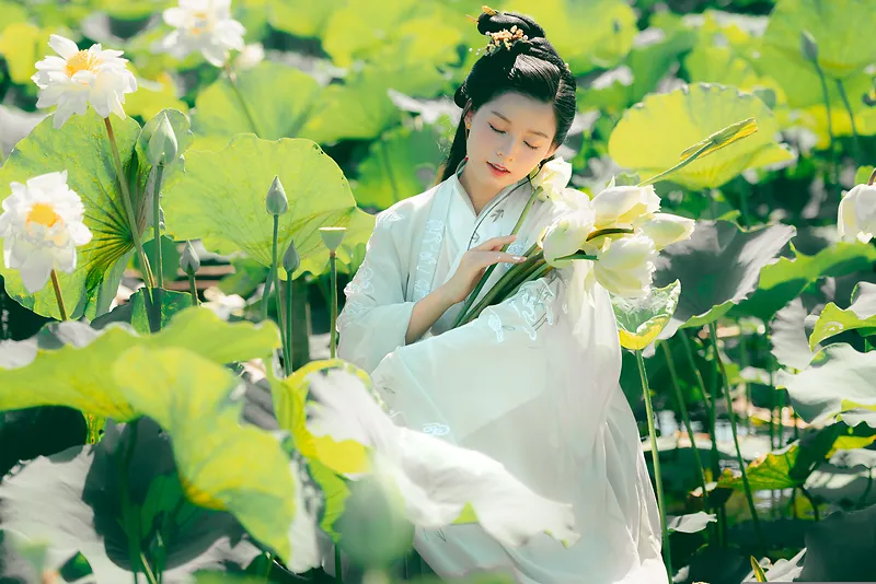 夏日荷塘古风美女