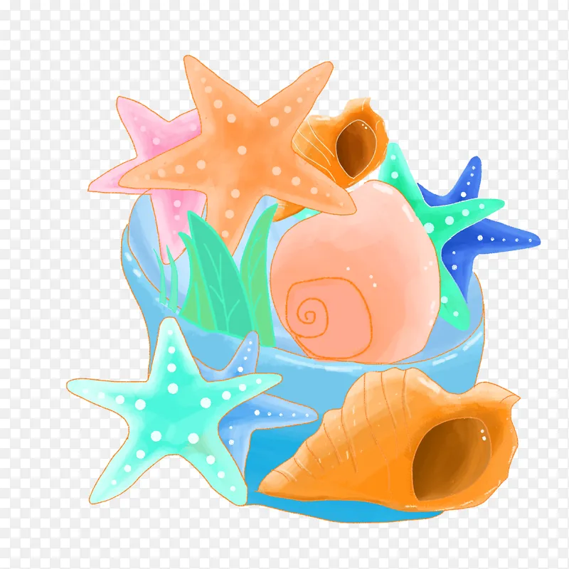 旅游海边手绘贝壳海星海螺
