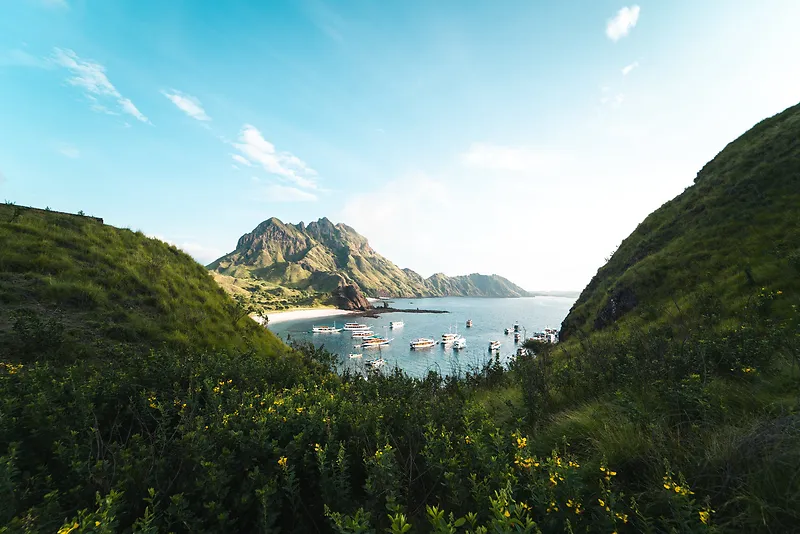 夏天自然风景