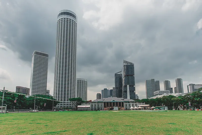 城市草地青草建筑高楼