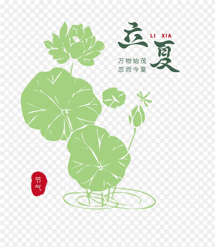 初夏荷叶手绘