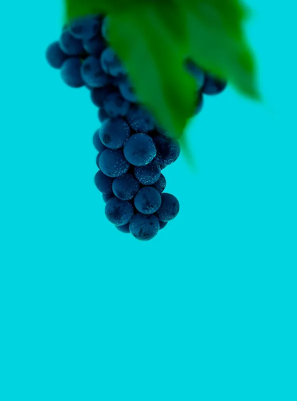 巨峰葡萄