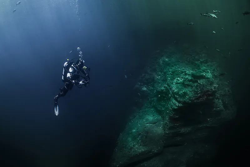 潜水潜水员海洋水中