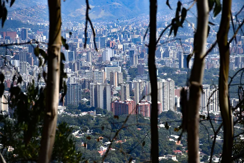 城市建筑树木摄影景观