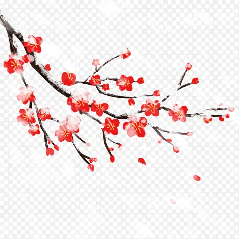 冬季寒冷的腊梅梅花枝元素