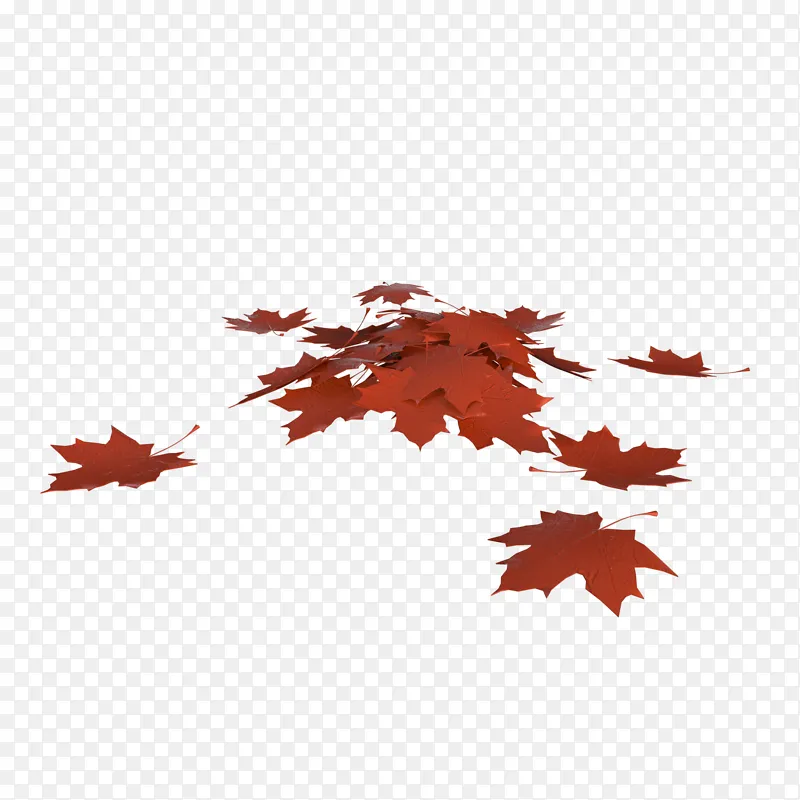 3D立体树叶秋天枫叶一堆