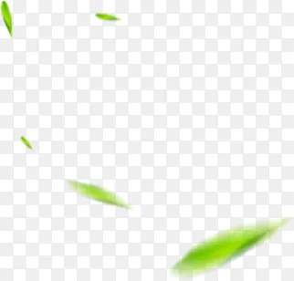 绿色模糊树叶漂浮植物