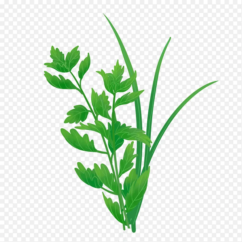 手绘艾草端午节元素