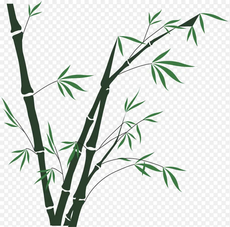 春天绿色竹子植物元素