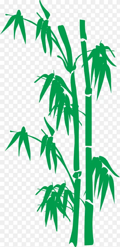 竹叶端午绿色竹子