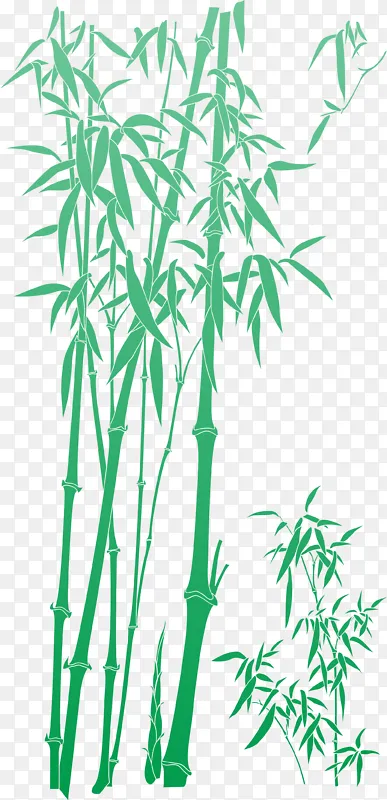清新竹林竹笋竹叶