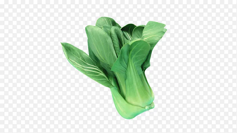 绿色蔬菜油菜上海青
