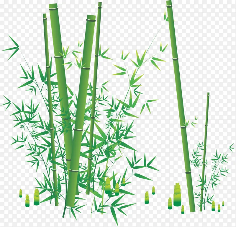 竹林绿色竹枝竹竿