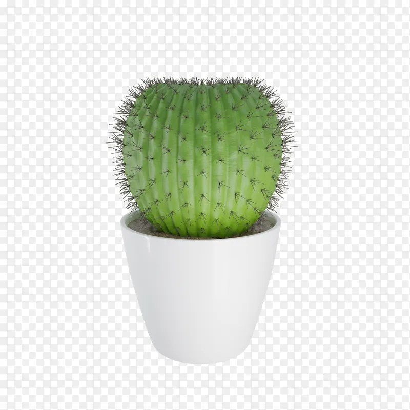 绿色3D立体仙人掌仙人球植物花草