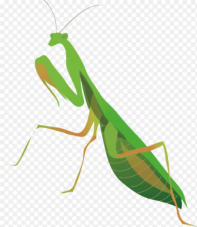 一只卡通螳螂