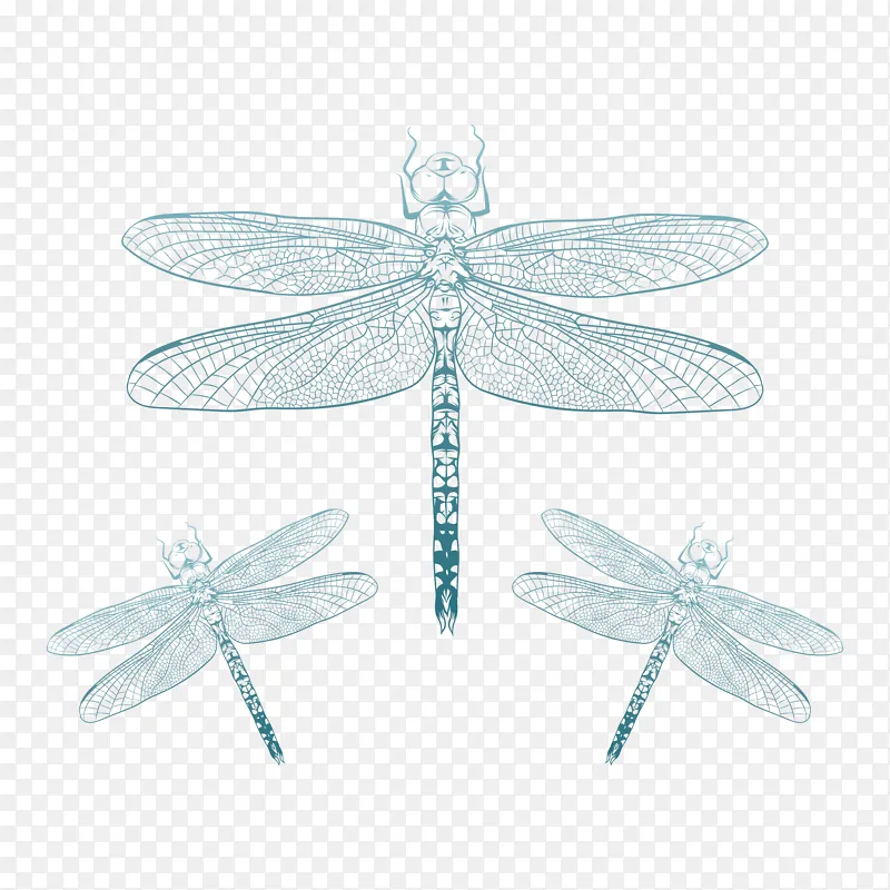 蜻蜓简笔画手绘