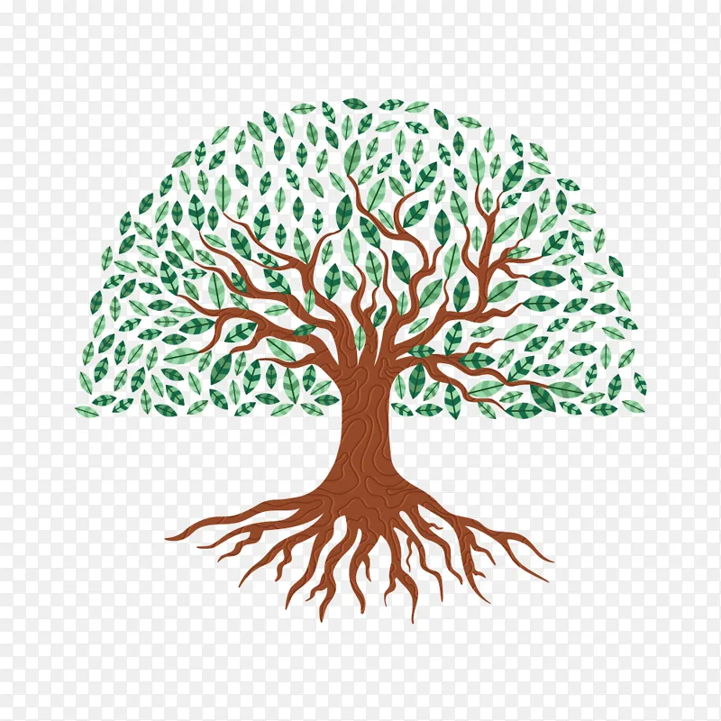 绿化植物树木树干树根PNG图片素材下载_图片编号arlgvawbjy-免抠素材网